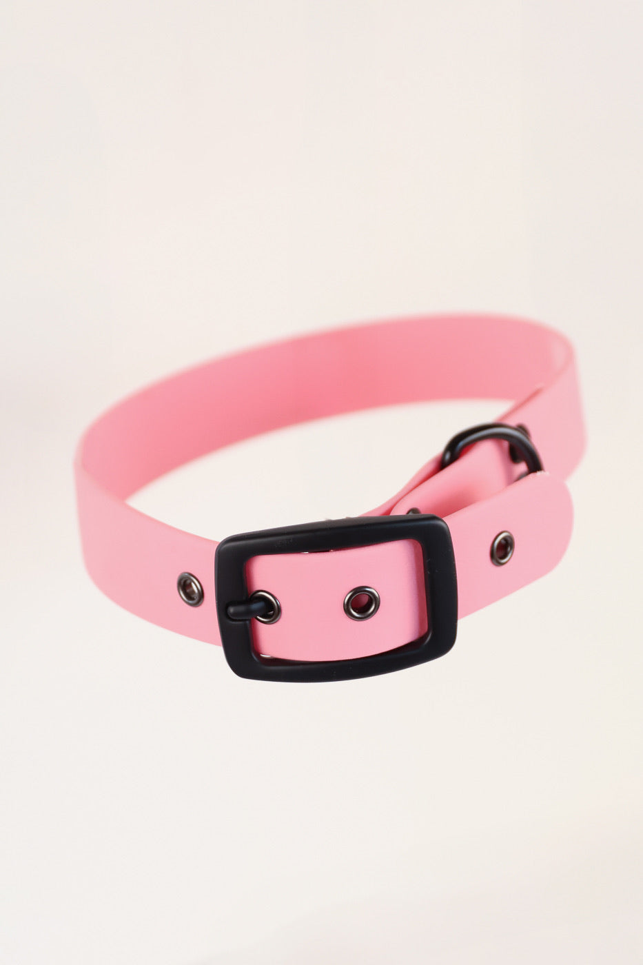 Collier en Biothane Les Petits Apollons
