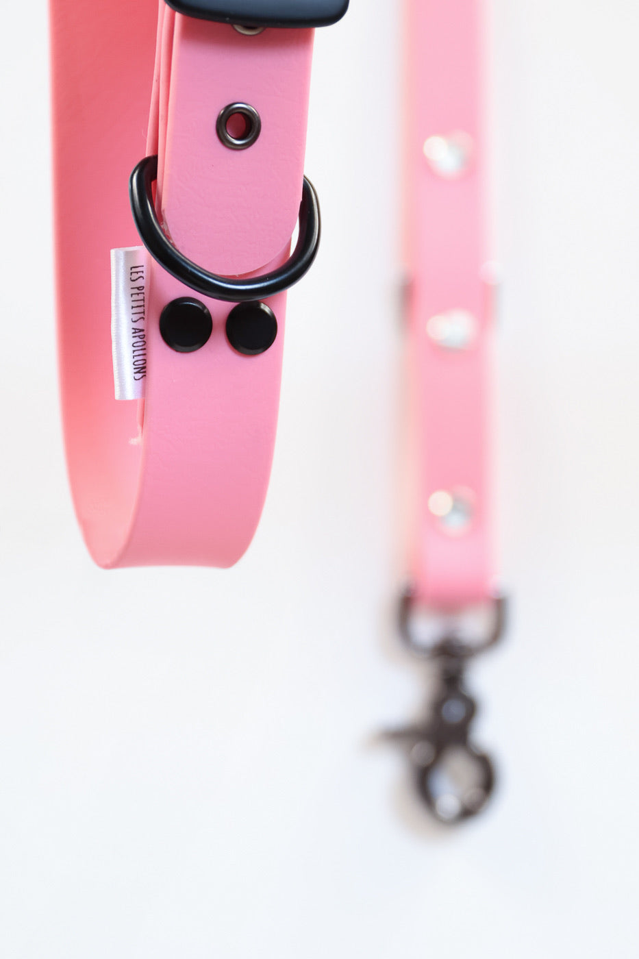 Collier en Biothane Les Petits Apollons