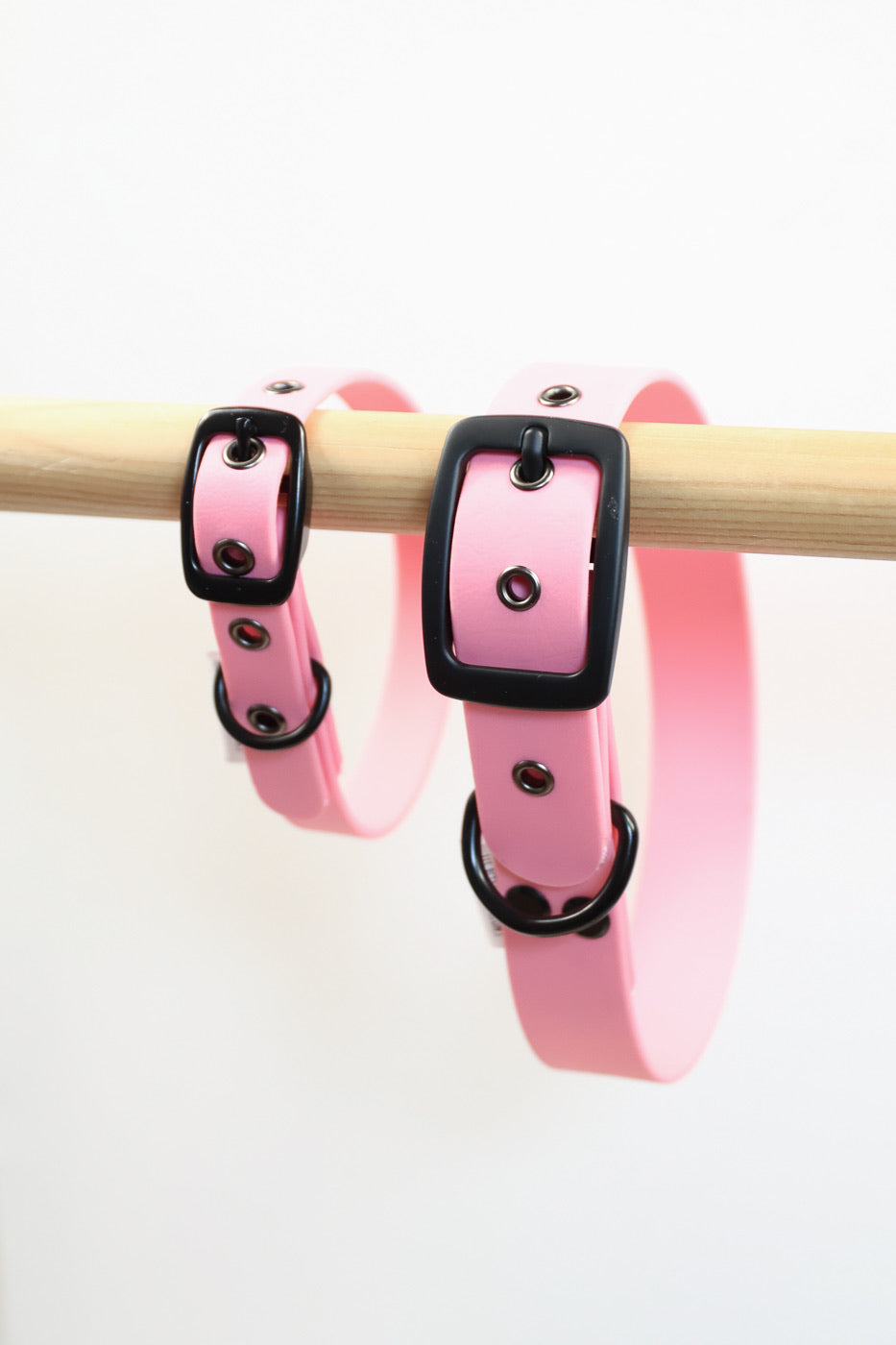 Collier en Biothane Les Petits Apollons