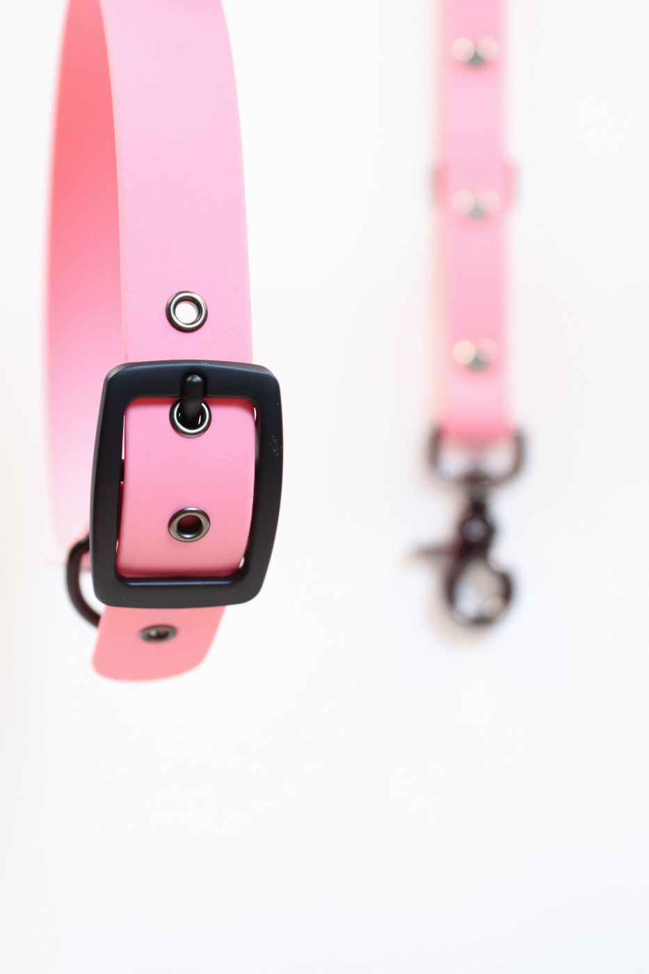 Collier en Biothane Les Petits Apollons