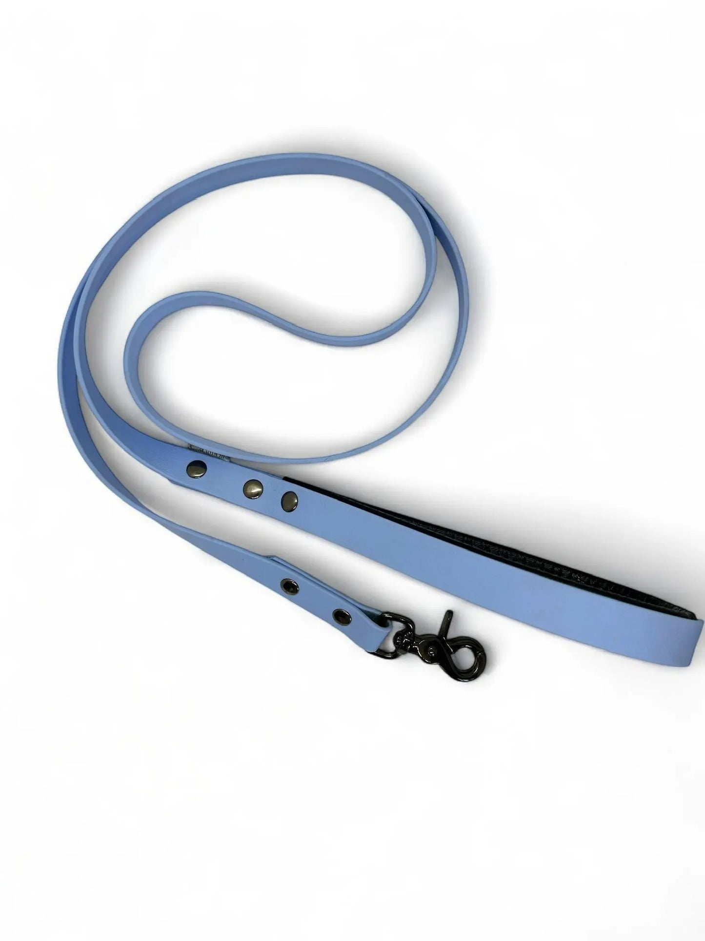 Laisse en Biothane Les Petits Apollons