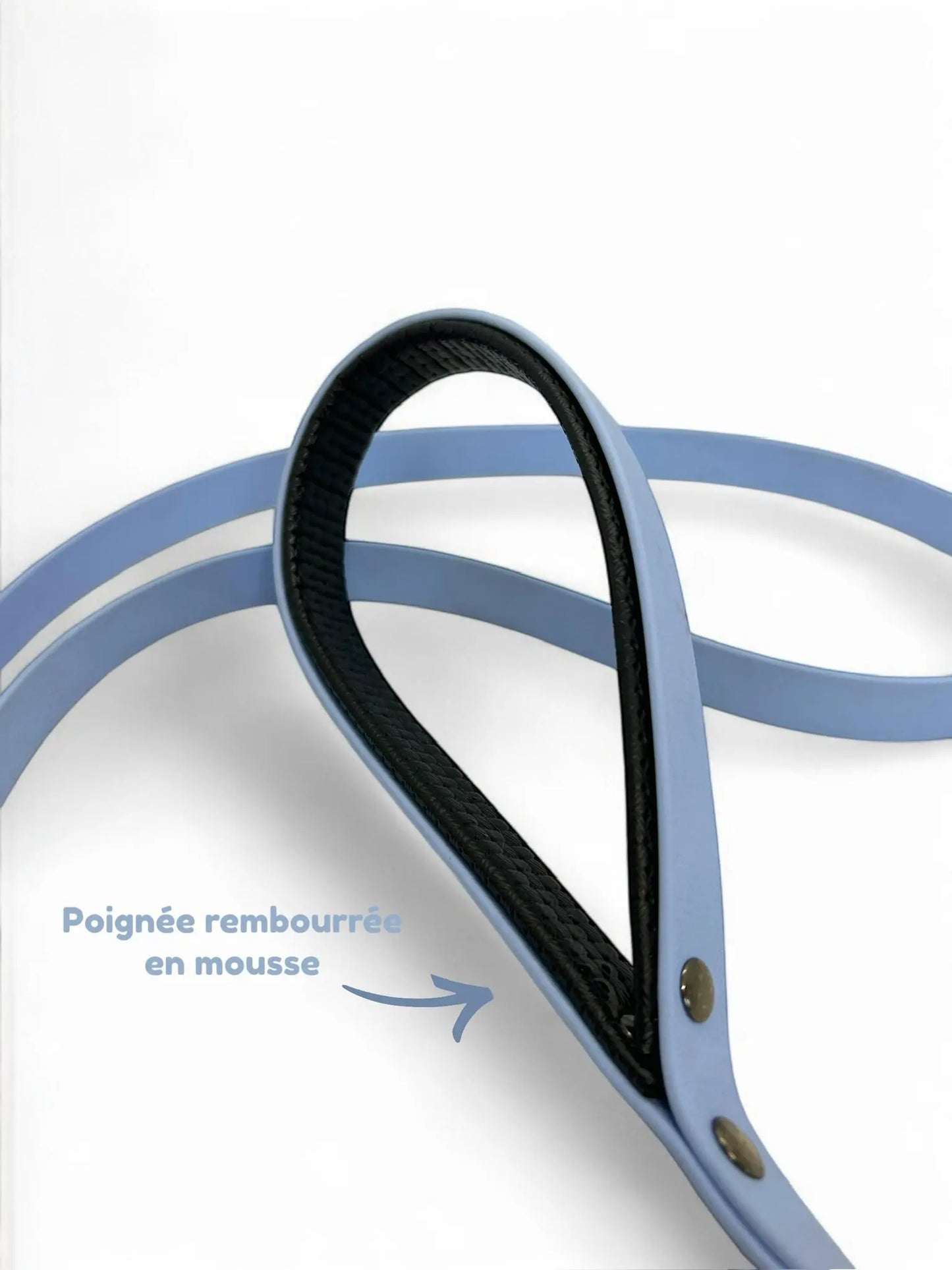 Laisse en Biothane Les Petits Apollons